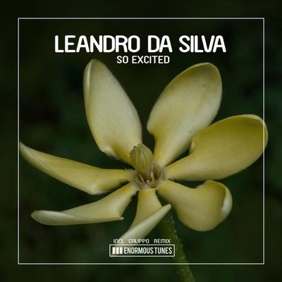 Leandro Da SilvaSo Excited (Calippo's I Think I Like It Club Remix)