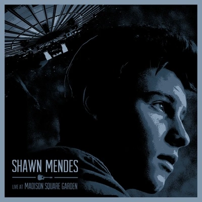 Shawn MendesDon't Be A Fool (Live at Madison Square Garden2016)