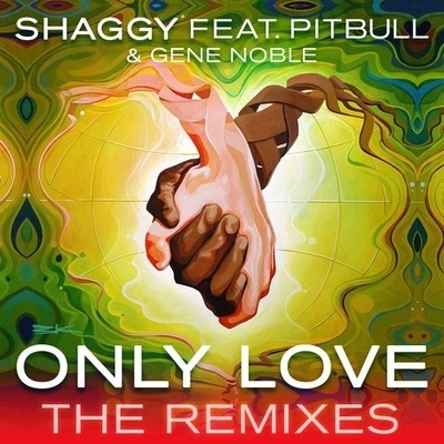 ShaggyPitbullGene NobleOnly Love (Bad Royale Remix)