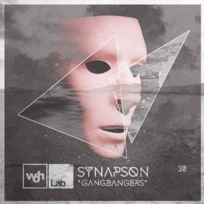 SynapsonGangbangers