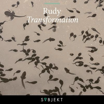 RUDYTransformation (Extended Mix)