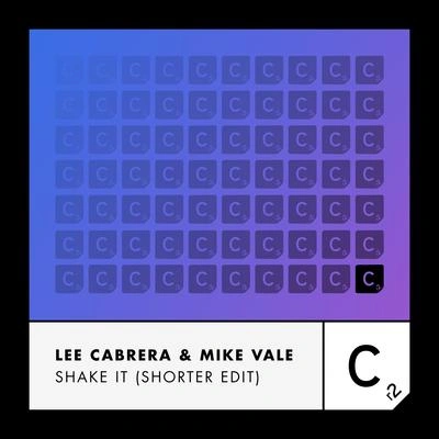 Mike ValeShake It (Shorter Edit)