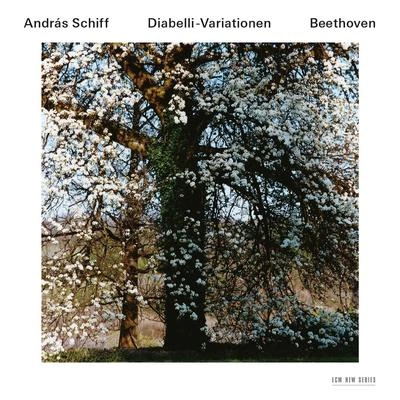 András Schiff33 Piano Variations In C, Op.120 On A Waltz By Anton Diabelli - Variation 14 (Grave e maestoso)