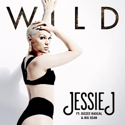 Jessie JWild (Instrumental)