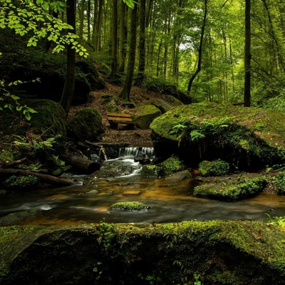 Mantra para MeditarMusica relajante con sonidos de la naturalezaCanciones De Cuna Para Dormir BebesAguas Terrenales