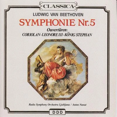 Alfred ScholzSymphony No. 5 in C Minor, Op. 67: I. Allegro con brio