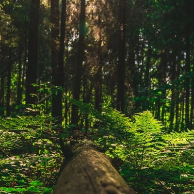 Musica para Meditar EspecialistasMúsica ambiental relajanteMusica Relajante SpecialistasTiempo De Deslizamiento