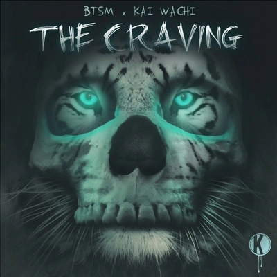 Black Tiger Sex MachineThe Craving (Original Mix)