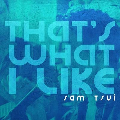 Sam TsuiThat's What I Like (Acoustic Version)