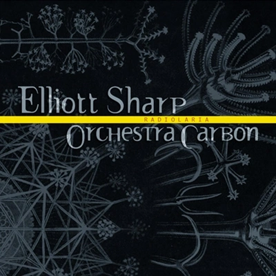 Elliott SharpOrchestra CarbonRadiolaria 1