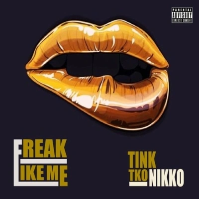 Tinkfreak like me (feat. TK O Nikko) [explicit]