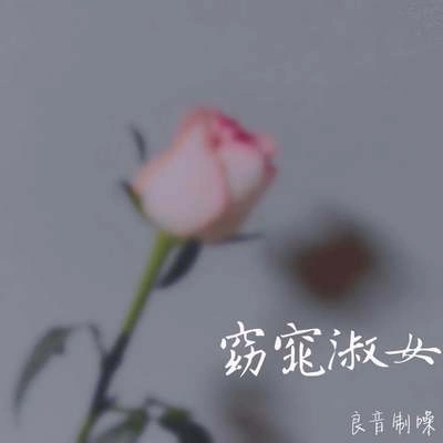 良音制噪窈窕淑女