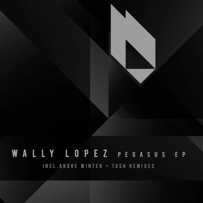 Wally LopezThe Gypsy Moon Original Mix