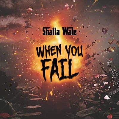 Shatta WaleWhen You Fail