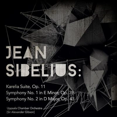 Jean SibeliusSymphony No. 1 in E Minor, Op. 39: IV. Finale (Quasi una Fantasia): Andante - Allegro molto