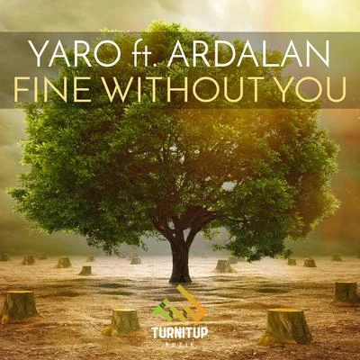 YaroFine Without You