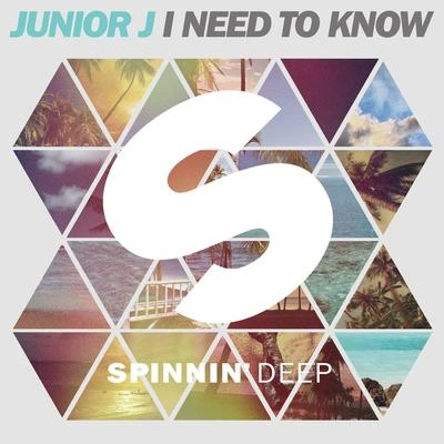 Junior JI Need To Know (Extended Mix)