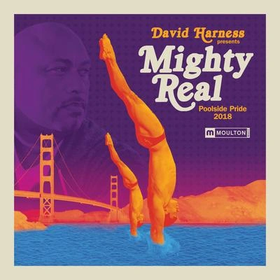 David HarnessMighty Real Poolside Pride 2018 (Continuous DJ Mix)