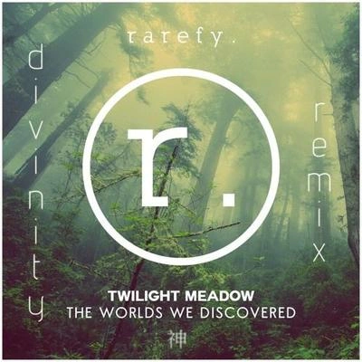 Twilight MeadowDivinitythe worlds we discovered (divinity remix)