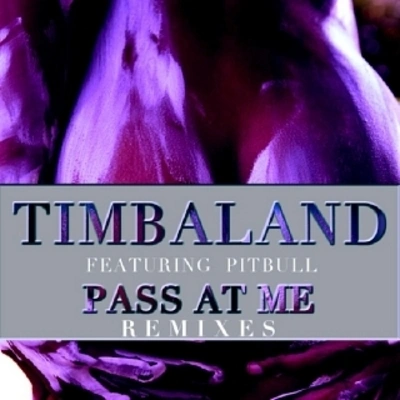 TimbalandPass At Me (Tim Mason Remix). - remix