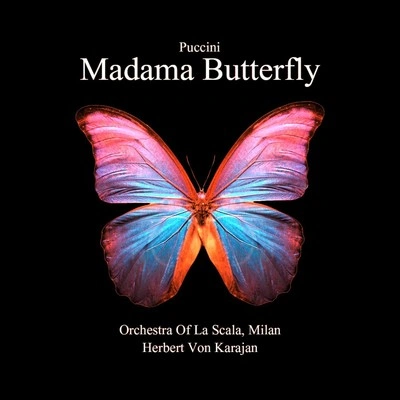 Lucia DanieliMadama Butterfly, Act I: 