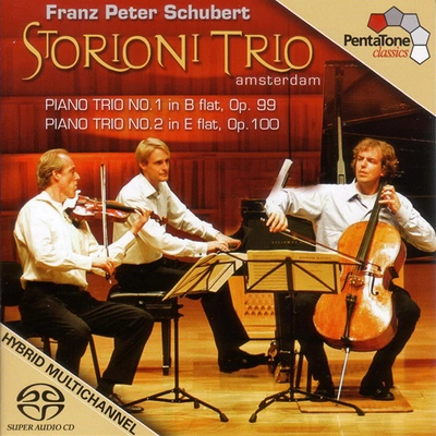 Storioni TrioPiano Trio No. 1 in B-Flat Major, Op. 99, D. 898:II. Andante un poco mosso