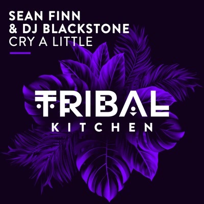 Sean FinnCry a Little (Original Mix)