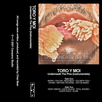 Toro y MoiGood Hold (Instrumental)