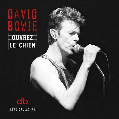 David BowieThe Man Who Sold The World (Live at the Starplex Amphitheater, Dallas, 13th October, 1995)