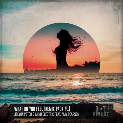 Jolyon PetchWhat Do You Feel (feat. Amy Pearson) [Elektrik Disko Extended Remix]