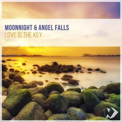 Angel FallsMoonnightLove Is the Key