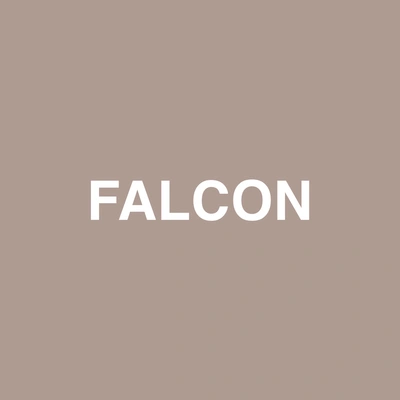 RauryJadenFalcon